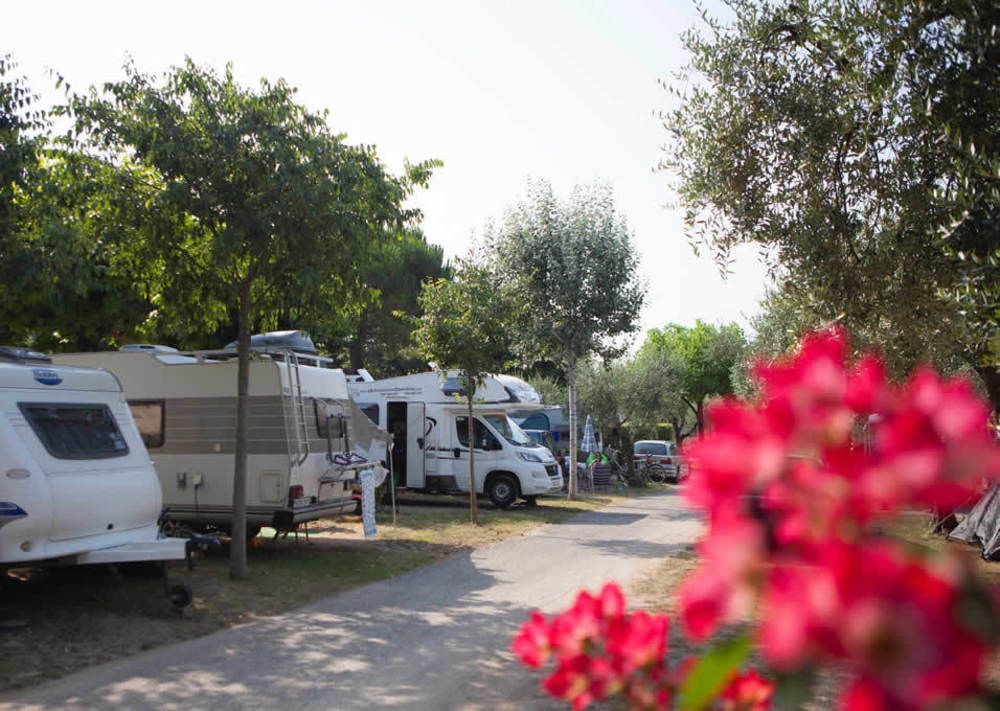 Camping Serenella 바르돌리노 외부 사진